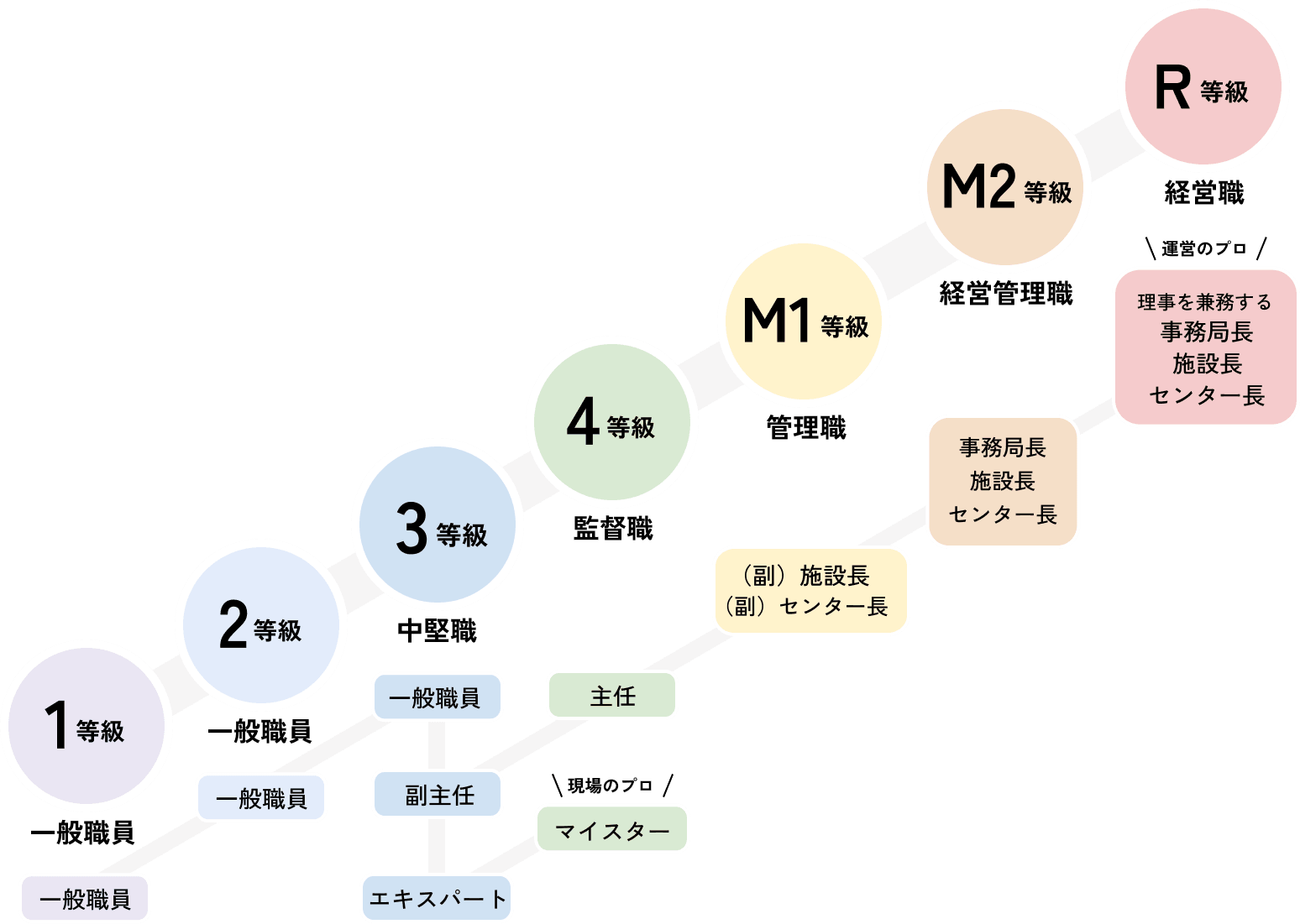 キャリアパスと研修体系