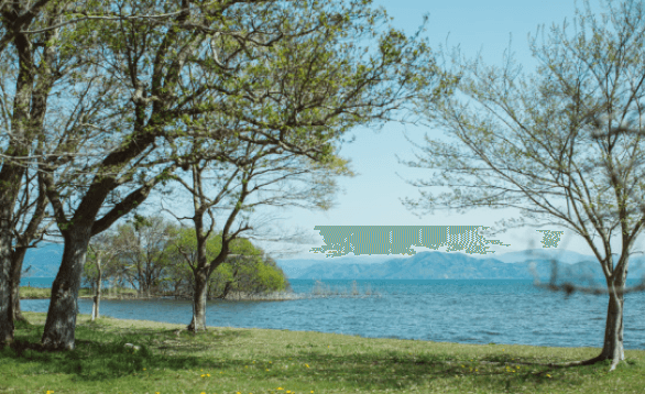 職員・Kさんに聞いた、高島ってこんなところ